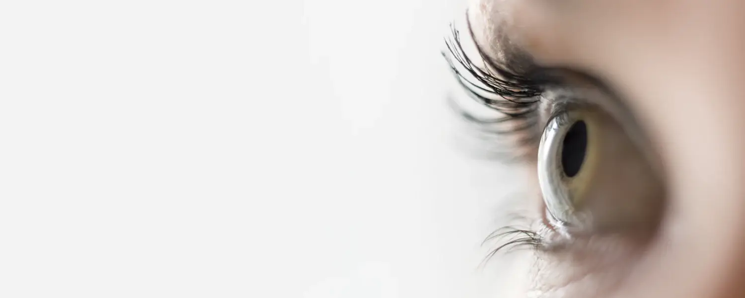 Healthy Human Eye