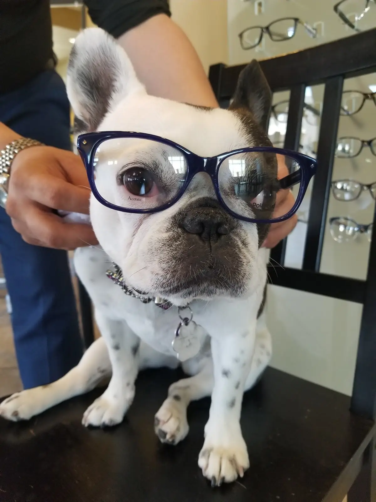 20/20 Image Eye Centers - Fountain Hills