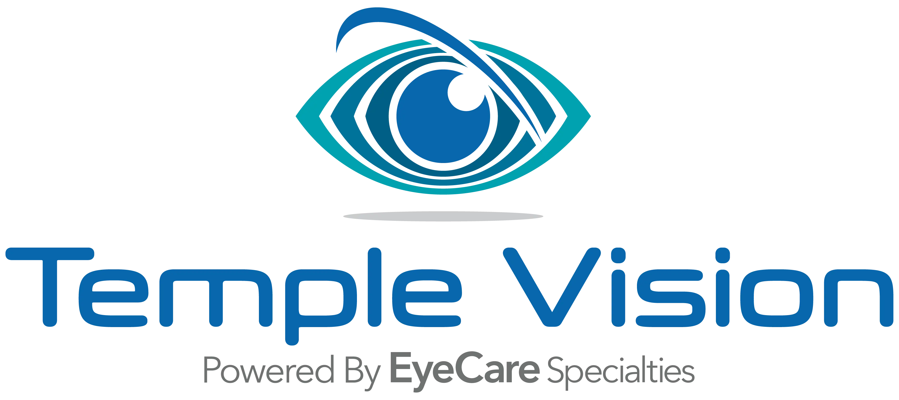 Temple Vision