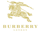 Burberry Color