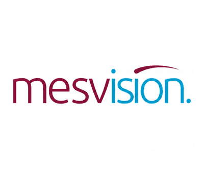 MESVision
