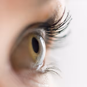 Close-up of a person's eye with brown iris and eyelashes