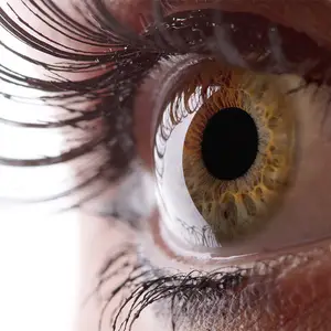Close up of eye with brown iris and lashes