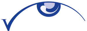 Visionary Optical logo featuring a stylized eye and the word Visionary written in blue