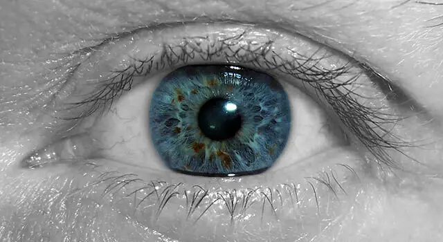 Close up of a human eye with blue iris and brown specks on the cornea