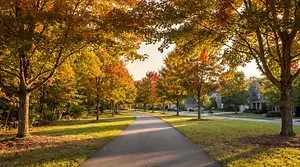 Tree-lined suburban sidewalk beneath golden autumn foliage, with homes along the street