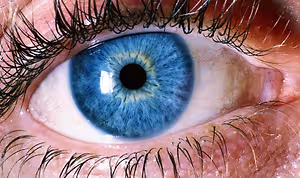 Close-up of a bright blue human eye with long eyelashes