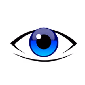 Illustration of an eye with a blue iris and black pupil