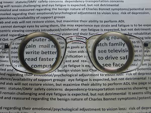 Image of reading glasses with words written on the lenses focusing on various aspects of vision loss and its impact, including emotional adjustment and safety concerns.