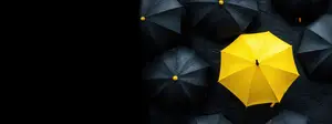 insurance nightstar