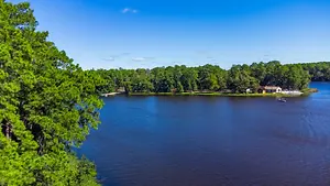 A serene lake surrounded by lush greenery and trees with a house and a boat on the shore under a clear sky.