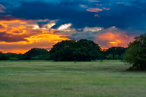 Sunset over a field with a mix of green and brown grasses, a few trees, and a cloudy sky with shades of orange and pink.