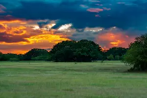 Sunset over a field with a mix of green and brown grasses, a few trees, and a cloudy sky with shades of orange and pink.
