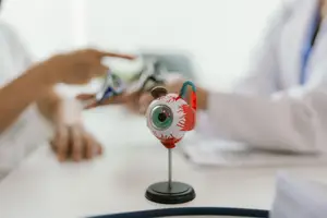 Doctors examining an eyeball model in a clinical setting