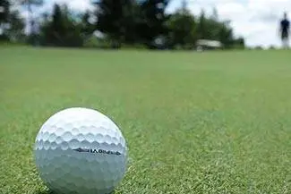 A white golf ball sits on a lush green golf course.