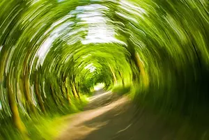 A circular motion blur photo of a tree-lined path in a forest.