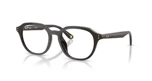 Ray-Ban RB3548 Oval eyeglasses in Black with Black lenses
