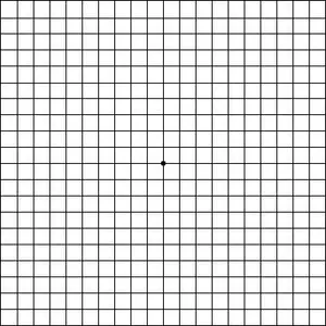 A grid with a single dot in the center