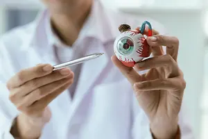 Doctor holding a pen and an eye model in a medical clinic