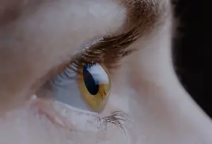 Close up of a woman's eye with brown iris and eyelashes