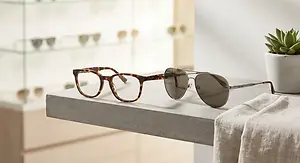 Two pairs of sunglasses on a table with a plant in a white pot