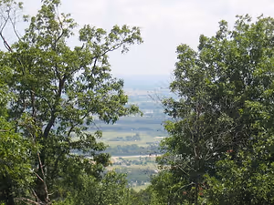 View from the top of a hill showing a wide landscape with trees and a small town in the distance.