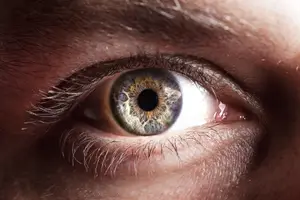 Close-up of a human eye with brown iris and black pupil, surrounded by eyelashes and skin