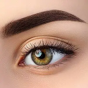 Close up of a woman's eye with well-groomed eyebrows and long, dark eyelashes.