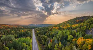 Aerial view of a road with trees on either side. The trees have a mix of green, yellow, and orange leaves. The sky is cloudy with a bright sun shining through.