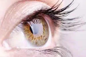 Close up of a person's eye with brown iris and long eyelashes