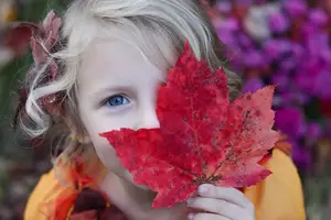 A little girl with blonde hair holds a red maple leaf in front of her face, with a background of purple flowers