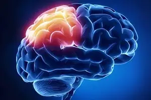 An image of a human brain with a red spot on the right side, indicating a possible area of concern, displayed on a blue background.