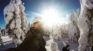 Snowboarder on snowy mountain with bright sunlight shining through trees