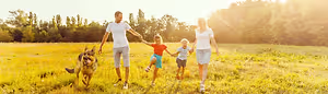 A family of four, including two kids, is walking in a field with two dogs and a setting sun in the background.