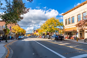 A street with parked cars on the side, a tree with yellow leaves, a building with glass windows, and a bench on the sidewalk.