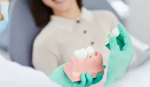 A dentist is cleaning a patient's teeth while holding a dental model.