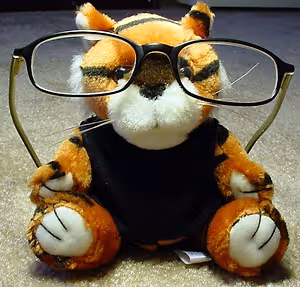 A stuffed tiger wearing glasses and a black shirt sits on a beige carpet with its arms crossed.