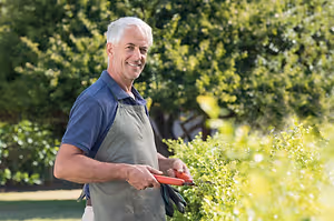 An older man is holding a pair of scissors and seems to be trimming the plants in the garden.