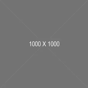 Image displays a gray background with white text overlaying the image, the text reads '1000 X 1000'.