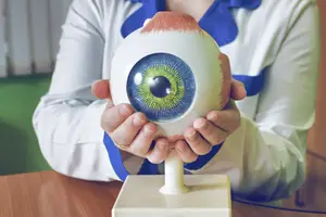 An adult woman wearing a white and blue shirt and holding an artificial eye