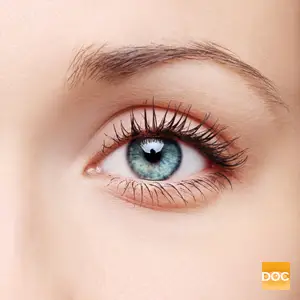 A close up of a woman's eye with eyelashes and eyebrow