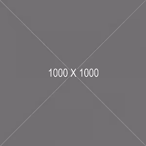Placeholder image labeled 1000 x 1000