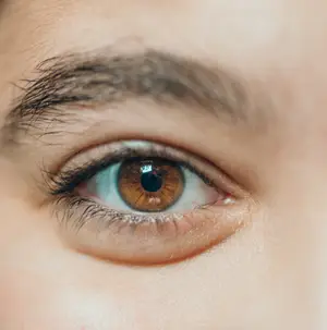 Close up of a person's eye with brown iris and eyelashes