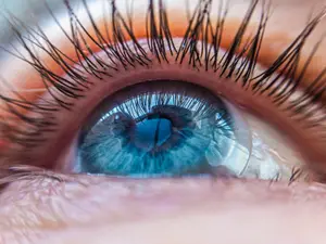 A close-up of a blue eye with long lashes and a blurry iris.