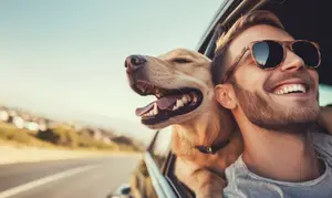 A man and his dog in a car on a sunny day