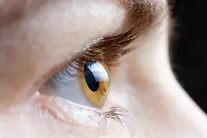 Close-up of a human eye with eyelashes and a yellow iris