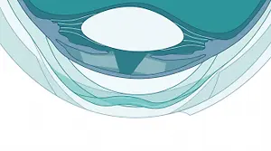 Illustration of a cross-section of the heart showing the left atrium, mitral valve, left ventricle, and aortic valve with blood flow directions indicated by arrows