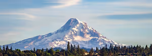 A snowy mountain with a few trees on the side and a blue sky with clouds