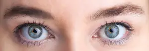 Close up of a woman's eyes with long eyelashes and gray irises