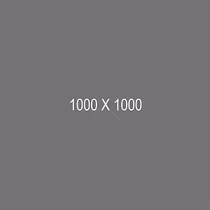Image displays a gray background with white text overlaying the image, the text reads '1000 X 1000'.